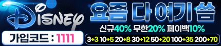 보증업체 디즈니